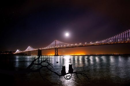 夜景、橋