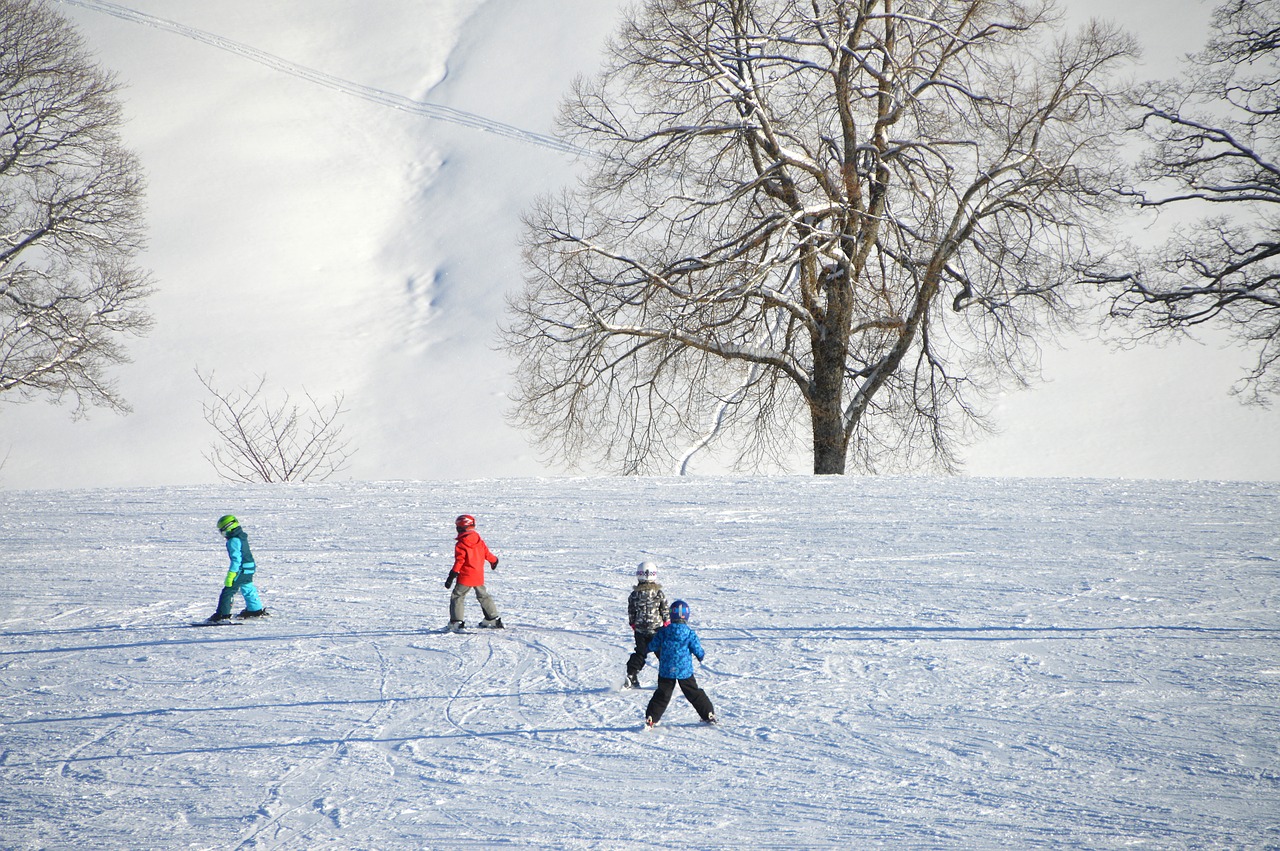 スキー、初心者、雪